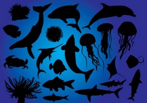      - Vector Silhouettes fishes