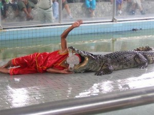 Мужской шаблон - в пасти крокодила