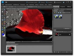 Adobe Photoshop Elements 10 (  )