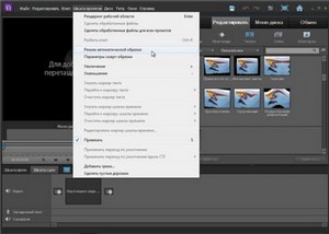 Adobe Premiere Elements 10 (  !)