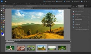 Adobe Photoshop Elements 10.0 Rus Lite Portable
