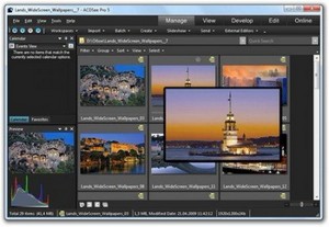 ACDSee Pro v.5.1.137 Final (x32/x64/ENG/RUS) -  