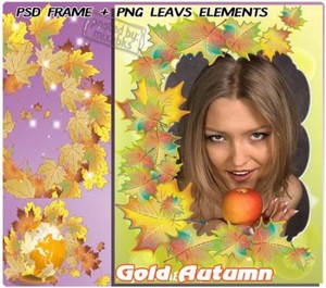   | Gold Autumn (psd frames + png elements)