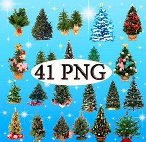 Клипарт для фотошопа – Лесная красавица – елка в формате PNG