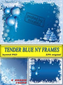   | Tender NY frames (PSD)
