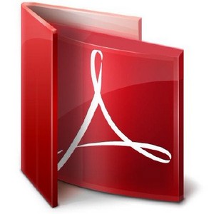 Adobe Reader X 10.1.2.45 ML/Rus RePack / Portable