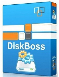DiskBoss 2.1.18  Portable (2012)