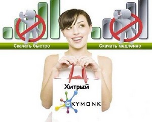 Skymonk v.1 2012