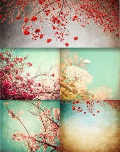 Клипарт - Весеннее цветенье