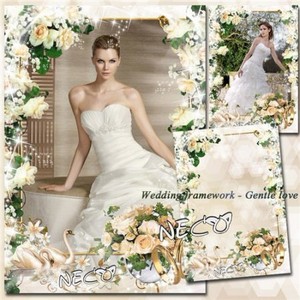 Wedding frame Gentle love - Свадебная рамка Нежная любовь