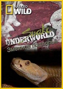   / Snake Underworld (2010) HDTVRip