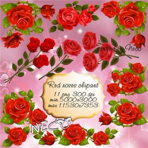 Clipart red roses -    PNG