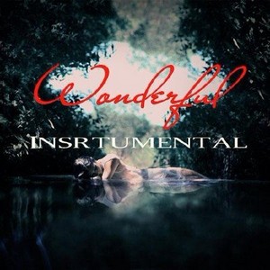 Wonderful Insrtumental (2012)