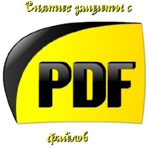   PDF  (2011) DVDRip