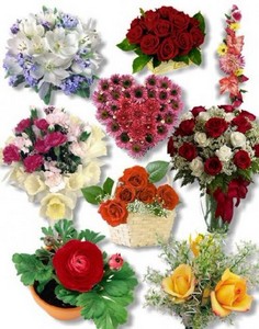 PNG Клипарт -  Прекрасные букеты цветов