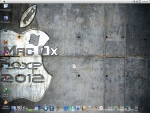 Windows XP (Mac-OSX) PRO 2012 (11.2012)