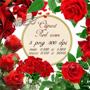 Clipart red roses 2 - Клипарт красные розы 2 PNG
