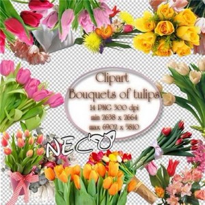 Bouquets of tulips clipart -     PNG