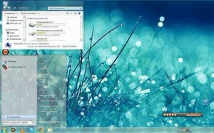      Windows 7 (29.02.2012)