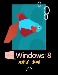 Microsoft Windows 8 Consumer Preview x64 RU 
