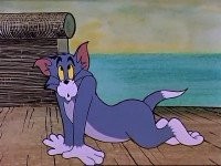    : Tom and Jerry -  163 ! (1940-2005/15.6 Gb)