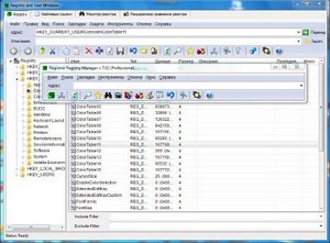 Portable Registrar Registry Manager 7.02.702.30305 Pro 2012 Rus 