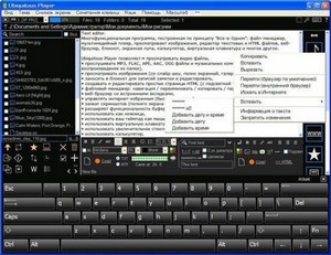 Ubiquitous Player 4.0 RuS + Portable
