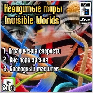   : Invisible Worlds (2010/HDRip/2,1Gb)