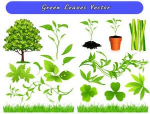 Зеленые травы , дерево, листья (Вектор)