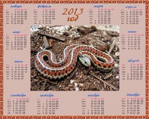 Календарь на 2013 год – Год змеи, змея с красной окраской