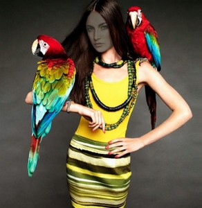Женский шаблон для фотошоп - девушка с попугаями