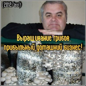 Выращивание грибов - прибыльный домашний бизнес! (2012/avi)
