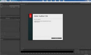 Adobe Audition CS6 5.0 build 708