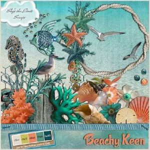  - -  . Scrap - Beachy Keen