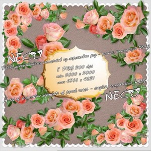 Набор декоративных элементов из персиковых роз - уголки, композиции PNG