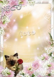 Романтическая рамка с влюблённым котом - Я дарю тебе цветок