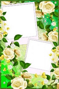 Рамка  с белыми розами для фотошопа - Нежность души