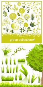 Зеленые ветки и травы (Вектор)