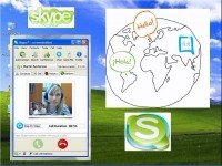      Skype (2012/swf)