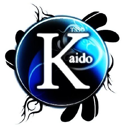 Kaido Player v.7.1.37.12 (Русский/Russian)2012