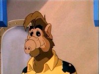  / ALF: The Animated Series -   (1987/DVDRip)