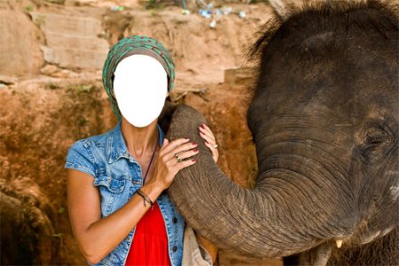 Женский шаблон – Поцелуй слонёнка для «мамочки»
