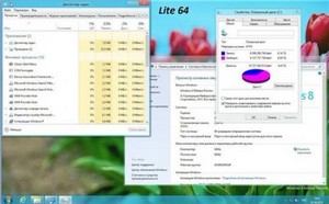 Windows 8 Release Preview Russian x86/x64 Mini & Lite (4 in 1) 