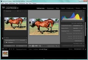 Portable Adobe Photoshop Lightroom 4.1 by punsh