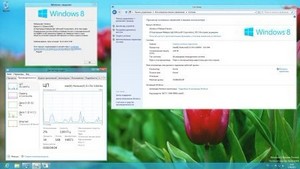Microsoft Windows 8 Release Preview 32/64-bit DVD WPI 12.06.2012
