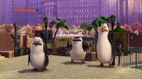   : The Penguins Of Madagascar - 2 ! 104 ! (2008-2011/HDTVRip)