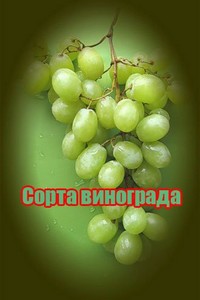 Сорта винограда (2011) SATRip