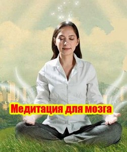 Медитация для мозга (2011) SATRip
