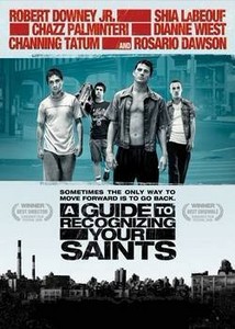     / A Guide to Recognizing Your Saints (2006) HDRip