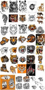 Коллекция тигров (Вектор)